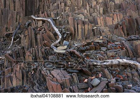 Baslat columns, at Twyfelfontein, Kunene Region, Namibia, Africa View Large Photo Image Stock Image - Baslat columns, at Twyfelfontein, Kunene Region, Namibia, Africa. Fotosearch