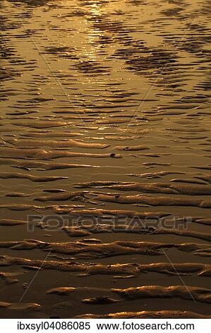 Beach at low tide in the evening light, North Holland, The Netherlands, Europe View Large Photo Image Stock Photography - Beach at low tide in the evening light, North Holland, The Netherlands, Europe. Fotosearch