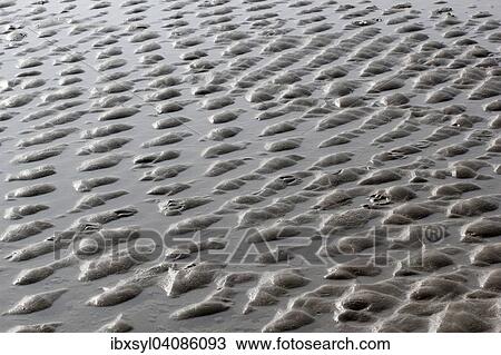 Beach at low tide, North Holland, The Netherlands, Europe View Large Photo Image Stock Image - Beach at low tide, North Holland, The Netherlands, Europe. Fotosearch