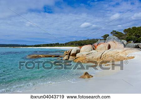 Beach, Bay of Fire, Tasmania, Australia, Oceania View Large Photo Image Stock Photo - Beach, Bay of Fire, Tasmania, Australia, Oceania. Fotosearch