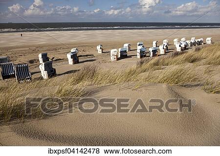 Beach chairs on the main beach, East Frisian Island of Spiekeroog, Lower Saxony, Germany, Europe View Large Photo Image Stock Photo - Beach chairs on the main beach, East Frisian Island of Spiekeroog, Lower Saxony, Germany, Europe. Fotosearch