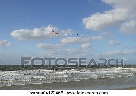 Stock Photography - Beach, colourful kite on blue sky, Norderney, East Frisia, Lower Saxony, Germany, Europe. Fotosearch