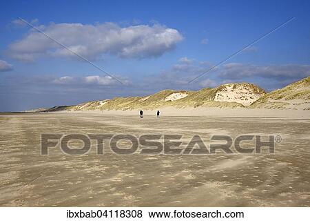 Beach, dunes, Egmond aan Zee, province of North Holland, The Netherlands, Europe View Large Photo Image Stock Photo - Beach, dunes, Egmond aan Zee, province of North Holland, The Netherlands, Europe. Fotosearch