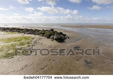 Beach, Lower Saxon Wadden Sea National Park, Wangerooge, East Frisian Island, East Frisia, Lower Saxony, Germany, Europe View Large Photo Image Picture - Beach, Lower Saxon Wadden Sea National Park, Wangerooge, East Frisian Island, East Frisia, Lower Saxony, Germany, Europe. Fotosearch