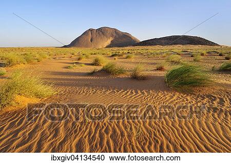 Ben Amira, the second largest monolith in the world, Adrar region, Mauritania, Africa View Large Photo Image Stock Image - Ben Amira, the second largest monolith in the world, Adrar region, Mauritania, Africa. Fotosearch