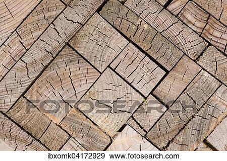 Blocks of oak (Quercus sp. ) with annual rings, Baden-Wurttemberg, Germany, Europe View Large Photo Image Stock Photo - Blocks of oak (Quercus sp. ) with annual rings, Baden-Wurttemberg, Germany, Europe. Fotosearch