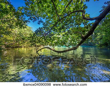 Stock Photo - Blue Lagoon, Port Antonio, Portland region, Jamaica, North America. Fotosearch