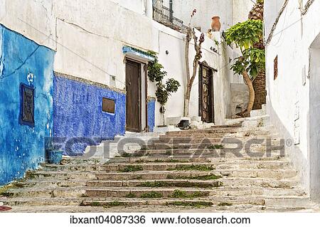 Blue-white washed alley with steps in the historic centre, Rabat, Morocco, Africa View Large Photo Image Stock Photograph - Blue-white washed alley with steps in the historic centre, Rabat, Morocco, Africa. Fotosearch