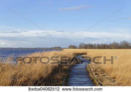 Stock Image - Boardwalk in a raised bog in the autumn, Ewiges Meer, expanse of water, Lower Saxony, Germany, Europe. Fotosearch