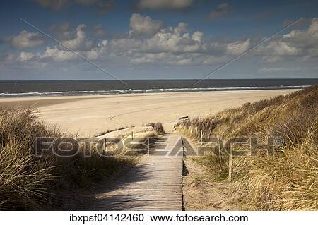 Boardwalk to the main beach, East Frisian Island of Spiekeroog, Lower Saxony, Germany, Europe View Large Photo Image Stock Image - Boardwalk to the main beach, East Frisian Island of Spiekeroog, Lower Saxony, Germany, Europe. Fotosearch
