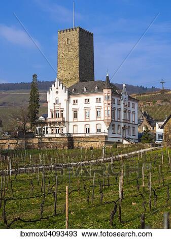 Boosenburg, Upper Castle, UNESCO World Heritage Site, Rudesheim am Rhein, Rhine Gorge, Hesse, Germany, Europe View Large Photo Image Stock Image - Boosenburg, Upper Castle, UNESCO World Heritage Site, Rudesheim am Rhein, Rhine Gorge, Hesse, Germany, Europe. Fotosearch