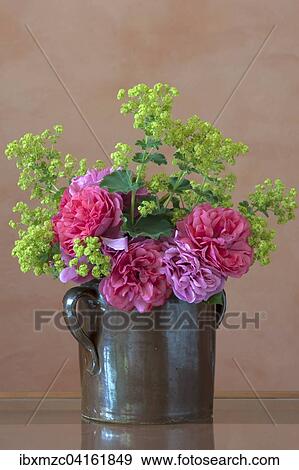 Stock Photo - Bouquet in clay jug on table, Cariona rose and lady's mantle (Alchemilla sp. ). Fotosearch
