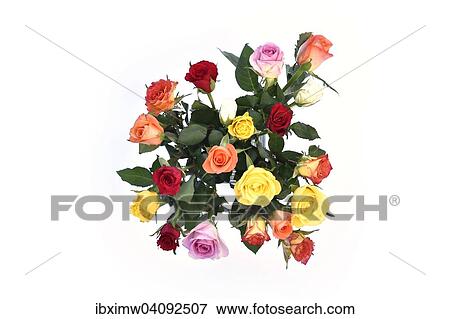 Bouquet of colourful roses View Large Photo Image Stock Photo - Bouquet of colourful roses. Fotosearch