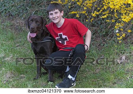 Stock Image - Boy, 11 years, with a Labrador, Germany, Europe. Fotosearch