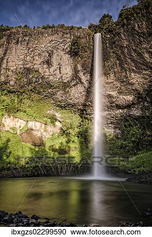 Bridal Veil Falls, Raglan, Waikato, North Island, New Zealand, Oceania View Large Photo Image Stock Image - Bridal Veil Falls, Raglan, Waikato, North Island, New Zealand, Oceania. Fotosearch