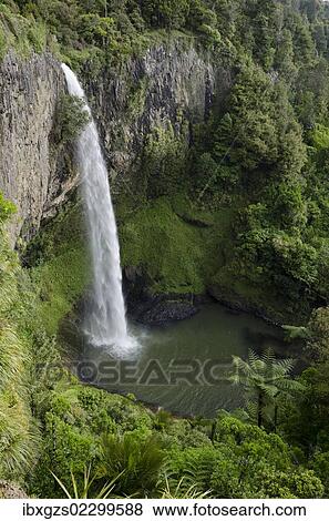 Bridal Veil Falls, Raglan, Waikato, North Island, New Zealand, Oceania View Large Photo Image Stock Photo - Bridal Veil Falls, Raglan, Waikato, North Island, New Zealand, Oceania. Fotosearch