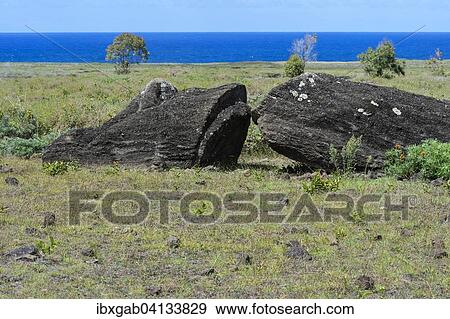 Broken Moai in Rano Raraku, Rapa Nui National Park, Unesco World Heritage Site, Easter Island, Chile, South America View Large Photo Image Stock Photo - Broken Moai in Rano Raraku, Rapa Nui National Park, Unesco World Heritage Site, Easter Island, Chile, South America. Fotosearch
