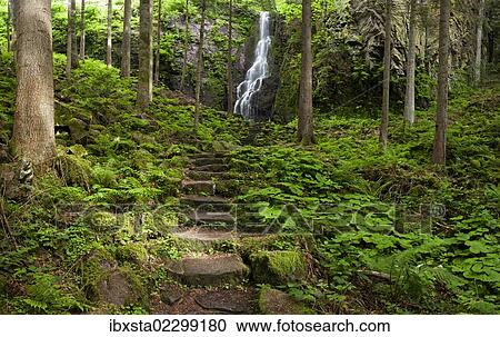 Burgbach Waterfall near Schapbach in the Black Forest, Baden-Wuerttemberg, Germany, Europe View Large Photo Image Stock Image - Burgbach Waterfall near Schapbach in the Black Forest, Baden-Wuerttemberg, Germany, Europe. Fotosearch