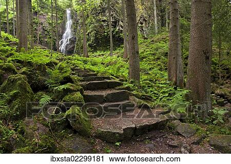 Burgbach Waterfall near Schapbach in the Black Forest, Baden-Wuerttemberg, Germany, Europe View Large Photo Image Stock Image - Burgbach Waterfall near Schapbach in the Black Forest, Baden-Wuerttemberg, Germany, Europe. Fotosearch