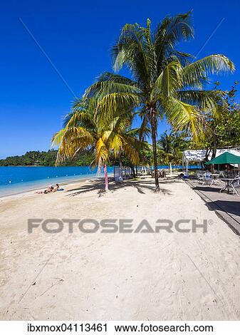 Caribbean beach with palm trees, Erol Flynn Marina, Port Antonio, Portland region, Greater Antilles, Jamaica, North America View Large Photo Image Stock Image - Caribbean beach with palm trees, Erol Flynn Marina, Port Antonio, Portland region, Greater Antilles, Jamaica, North America. Fotosearch