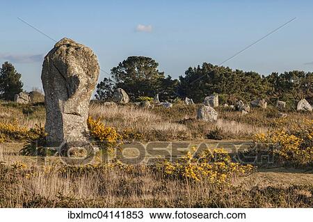 Stock Image - Carnac standing stones or alignments, UNESCO World Heritage Site, Carnac, Brittany, France, Europe. Fotosearch