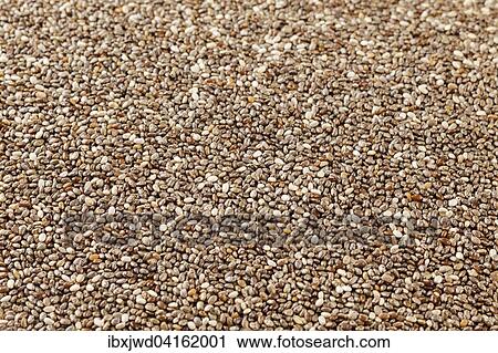 Stock Image - Chia seeds. Fotosearch