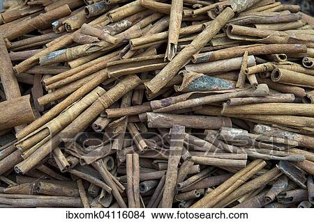 Picture - Cinnamon sticks, Kerala, India, Asia. Fotosearch