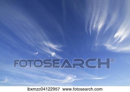 Cirrus clouds, Cirrus, in the blue sky View Large Photo Image Stock Photo - Cirrus clouds, Cirrus, in the blue sky. Fotosearch