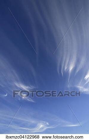 Cirrus clouds, Cirrus, in the blue sky View Large Photo Image Stock Photo - Cirrus clouds, Cirrus, in the blue sky. Fotosearch