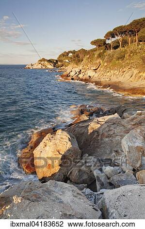 Coast near Sant 'Andrea, Elba, Livorno province, Tuscany, Italy, Europe View Large Photo Image Stock Image - Coast near Sant 'Andrea, Elba, Livorno province, Tuscany, Italy, Europe. Fotosearch