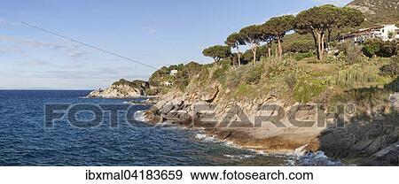 Stock Photo - Coast near Sant 'Andrea, Elba, Livorno province, Tuscany, Italy, Europe. Fotosearch