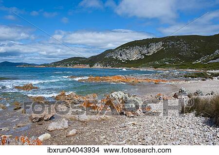 Coast, Rocky Cape National Park, Tasmania View Large Photo Image Picture - Coast, Rocky Cape National Park, Tasmania. Fotosearch
