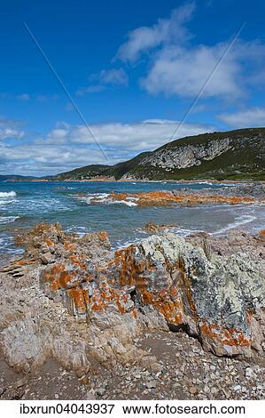 Coast, Rocky Cape National Park, Tasmania View Large Photo Image Stock Photo - Coast, Rocky Cape National Park, Tasmania. Fotosearch