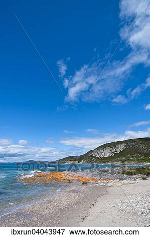 Coast, Rocky Cape National Park, Tasmania View Large Photo Image Stock Photo - Coast, Rocky Cape National Park, Tasmania. Fotosearch
