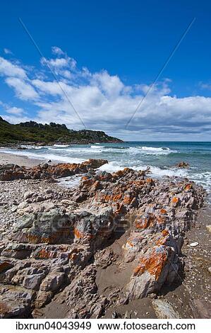 Coast, Rocky Cape National Park, Tasmania View Large Photo Image Stock Photo - Coast, Rocky Cape National Park, Tasmania. Fotosearch