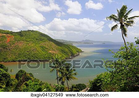 Coastline at the Baie de Tsingoni, Tsingoni, Mayotte, Africa View Large Photo Image Stock Photo - Coastline at the Baie de Tsingoni, Tsingoni, Mayotte, Africa. Fotosearch