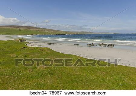 Coastline, Sandwick Beach, Uyeasound, Unst, Shetland Islands, Scotland, United Kingdom, Europe View Large Photo Image Stock Photo - Coastline, Sandwick Beach, Uyeasound, Unst, Shetland Islands, Scotland, United Kingdom, Europe. Fotosearch