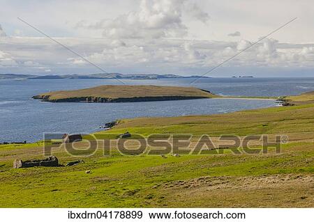 Coastline, Yell, Shetland Islands, Scotland, United Kingdom, Europe View Large Photo Image Stock Photo - Coastline, Yell, Shetland Islands, Scotland, United Kingdom, Europe. Fotosearch