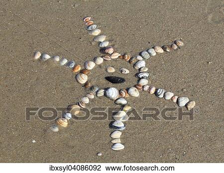 Stock Image - Cockles (Cerastoderma edule) arranged in the shape of a sun in the sand, North Holland, The Netherlands, Europe. Fotosearch