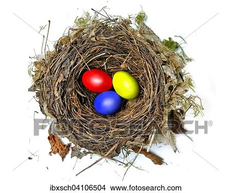 Picture - Colored eggs in bird's nest. Fotosearch