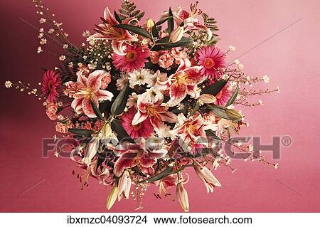 Colourful bouquet against a pink background View Large Photo Image Picture - Colourful bouquet against a pink background. Fotosearch