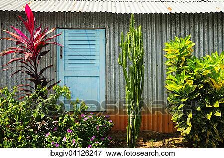 Corrugated iron hut with blue shutters, Kani-Keli, Mayotte, Africa View Large Photo Image Stock Photo - Corrugated iron hut with blue shutters, Kani-Keli, Mayotte, Africa. Fotosearch