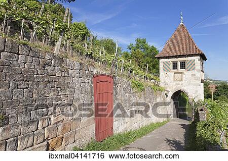 Cottage in the vineyards, Neckarhaldenweg, Esslingen, Baden-Wurttemberg, Germany, Europe View Large Photo Image Stock Photograph - Cottage in the vineyards, Neckarhaldenweg, Esslingen, Baden-Wurttemberg, Germany, Europe. Fotosearch
