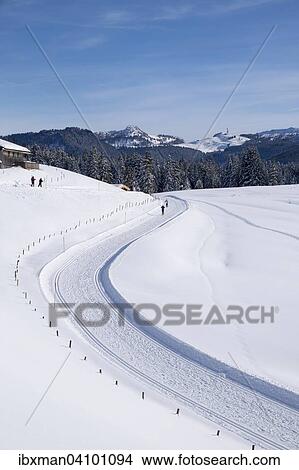 Cross-country ski run, Winklmoosalm alp, Reit im Winkl, Chiemgau Alps, Upper Bavaria, Bavaria, Germany, Europe View Large Photo Image Picture - Cross-country ski run, Winklmoosalm alp, Reit im Winkl, Chiemgau Alps, Upper Bavaria, Bavaria, Germany, Europe. Fotosearch