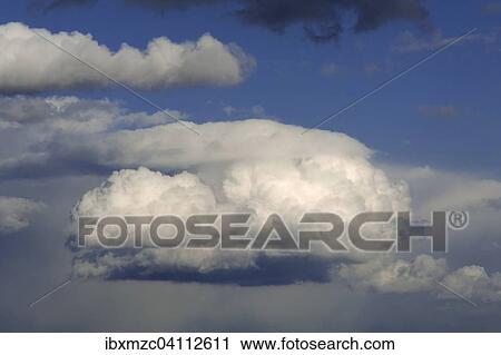 Cumulus clouds, Altocumulus floccus View Large Photo Image Stock Image - Cumulus clouds, Altocumulus floccus. Fotosearch