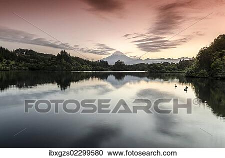 Currently inactive volcano, Mt. Egmont, Mt. Taranaki, reflection in the reservoir of Lake Mangamahoe, North Island, New Zealand, Oceania View Large Photo Image Stock Image - Currently inactive volcano, Mt. Egmont, Mt. Taranaki, reflection in the reservoir of Lake Mangamahoe, North Island, New Zealand, Oceania. Fotosearch
