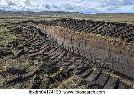 Cut peat on a peat bog, Yell, Shetland Islands, Scotland, United Kingdom, Europe View Large Photo Image Stock Image - Cut peat on a peat bog, Yell, Shetland Islands, Scotland, United Kingdom, Europe. Fotosearch