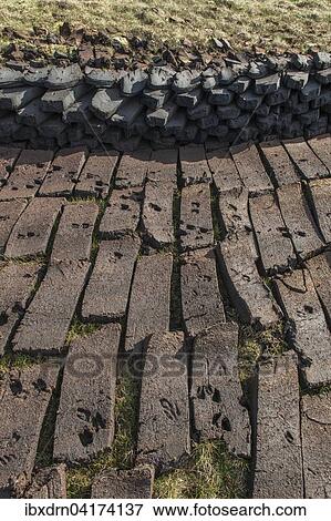 Cut peat on a peat bog, Yell, Shetland Islands, Scotland, United Kingdom, Europe View Large Photo Image Stock Photo - Cut peat on a peat bog, Yell, Shetland Islands, Scotland, United Kingdom, Europe. Fotosearch