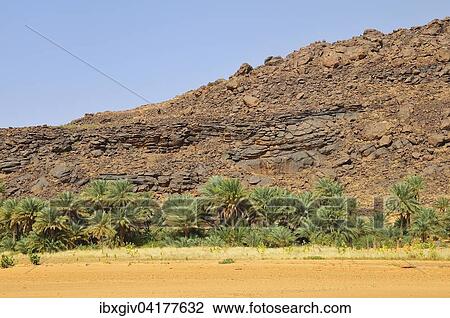 Date palms in front of a weathered hill, Rachid oasis, Tagant region, Mauritania, Africa View Large Photo Image Stock Image - Date palms in front of a weathered hill, Rachid oasis, Tagant region, Mauritania, Africa. Fotosearch
