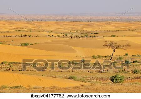 Desert landscape with sand dunes, route from Atar to Tidjikja, Adrar region, Mauritania, Africa View Large Photo Image Stock Image - Desert landscape with sand dunes, route from Atar to Tidjikja, Adrar region, Mauritania, Africa. Fotosearch